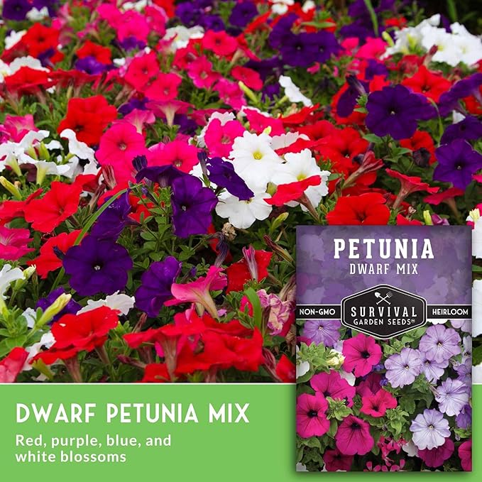 Dwarf Petunia Seed Mix for Planting - Plant & Grow Colorful Flowers to Attract Pollinators to Your Home Garden - Non-GMO Heirloom Variety - Survival Garden Seeds (5 Packs)