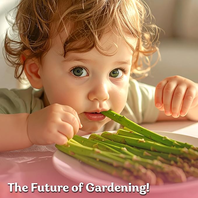 10 Asparagus Plants Bare Root Non GMO 2year Old Asparagus Plants