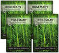 Sow Right Seeds - Rosemary Seed for Planting - Non-GMO Heirloom Packet with Instructions to Plant and Grow a Kitchen Herb Garden - Indoors or Outdoor - Tasty Culinary Herb, Super Fragrant (4)