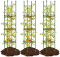 joyhalo 3 Pack Tomato Cages for Garden, 59 Inch Tomato Cage Heavy Duty, Height Adjustable Tomatoes Trellis for Climbing Plants Vegetables Flowers Cucumber Peony