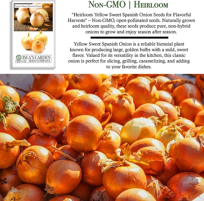 Yellow Sweet Spanish Onion Seeds (Allium cepa) – 750+ Non-GMO Heirloom Seeds by Isla’s Garden Seeds, Mild & Sweet Flavor, Large Golden Bulbs, Excellent for Cooking, Slicing & Storage, Garden Gift Idea