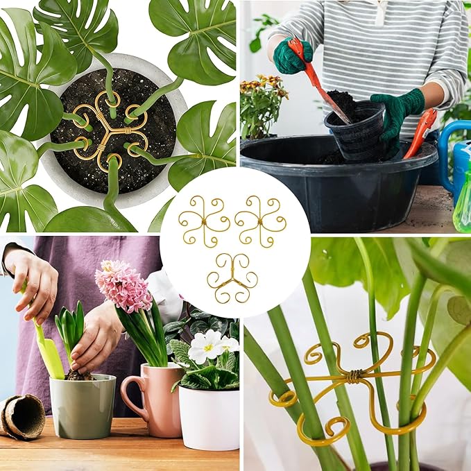 YAPROMO 4PCS Iron Monstera Plant Support- Plant Stakes for Indoor Plants, 4.1IN Plant stem Support, Prevents Falling for Turtle Shell Bamboo & Houseplants