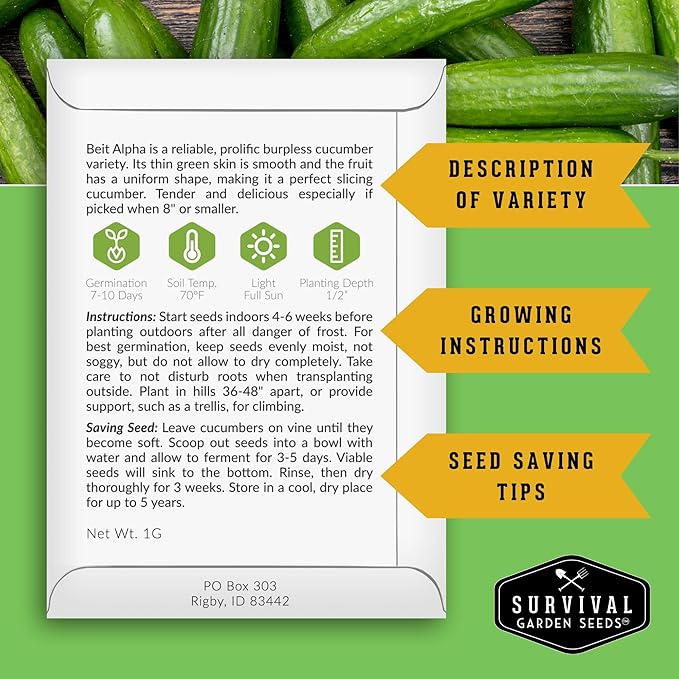 Beit Alpha Cucumber Seeds for Planting | Crisp Burpless Variety with Smooth Skin – Heirloom, Non‑GMO – Survival Garden Seeds (2 Packs)
