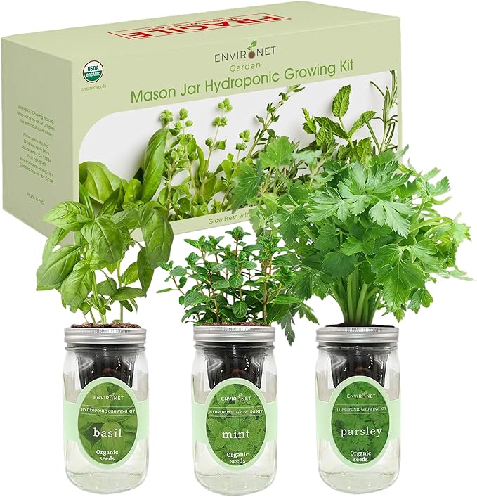 Hydroponic Herb Growing Kit Set, Self-Watering Mason Jar Herb Garden Starter Kit Indoor, Windowsill Herbs Garden, Grow Your Own Herbs from Organic Seeds (Basil, Mint, Parsley)