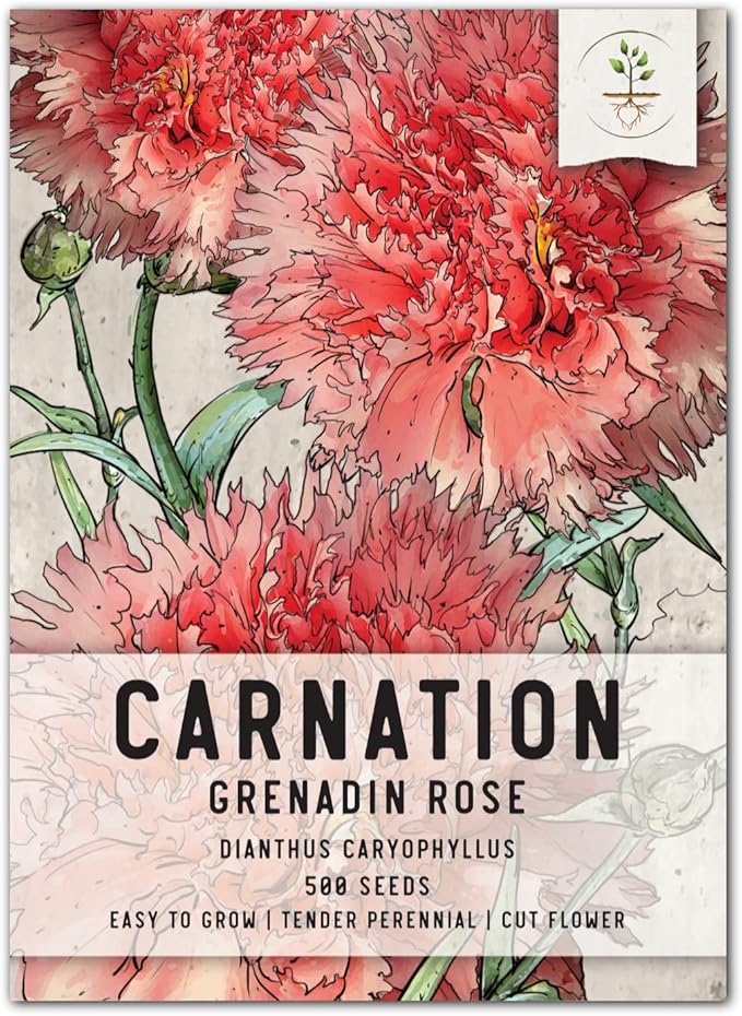 Seed Needs, Grenadin Rose Carnation Seeds - 500 Heirloom Seeds for Planting Dianthus caryophyllus - Annual Cut Flowers to Plant in the Garden (1 Pack)