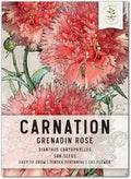Seed Needs, Grenadin Rose Carnation Seeds - 500 Heirloom Seeds for Planting Dianthus caryophyllus - Annual Cut Flowers to Plant in the Garden (1 Pack)
