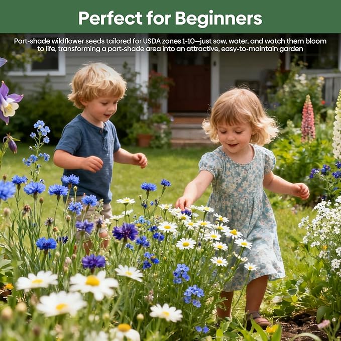 13 Varieties Partial Shade Wildflower Seeds, Mixed Annual and Perennial Flower Seeds for Garden, Yard, Container Planting, 1 Ounce