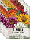 Seed Needs, Mixed State Fair Zinnia Seeds - 250 Heirloom Seeds for Planting Zinnia Elegans - Annual Flowers to Attract Butterflies & Other Pollinators, Great Cut Flower (5 Packs)
