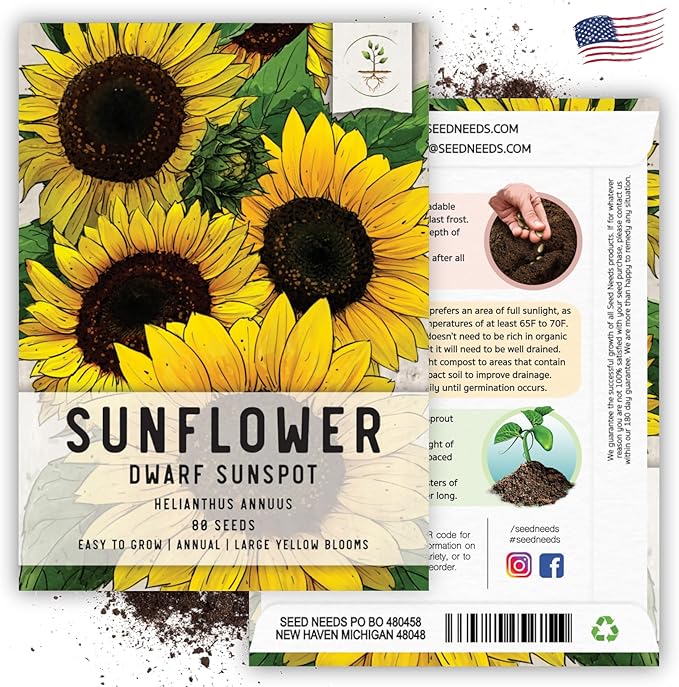 Seed Needs Sunflower Seeds for Planting Dwarf Sunspot Sunflowers - Heirloom & Open Pollinated Annual Cut Flower Seed to Plant 2 Foot Tall Sun Flowers (1 Pack)
