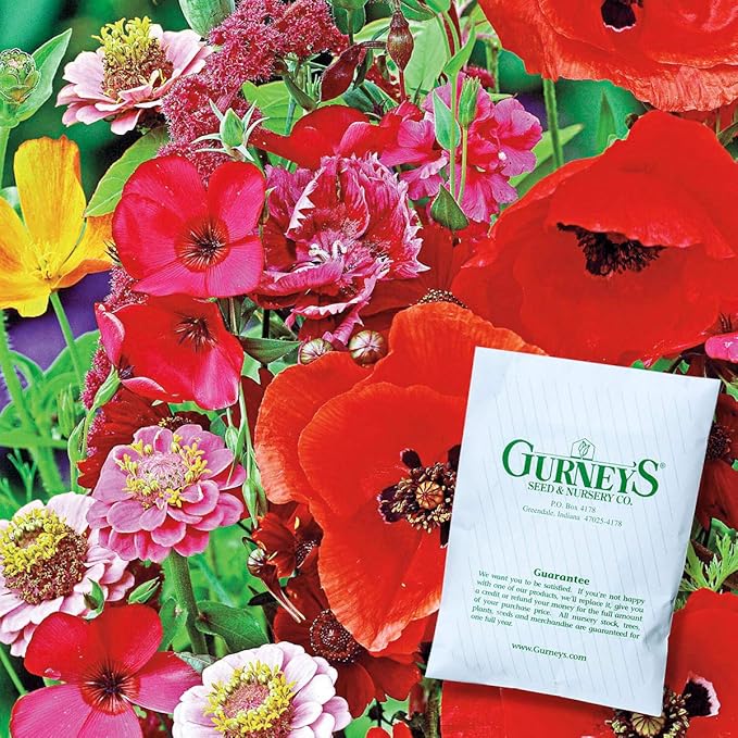 Hummingbird and Butterfly Annual Wildflower Seed Mixture - Add a Wonderful Display of Color while Attracting Wonderful Pollenators to your Yard - 300 Seeds per Packet