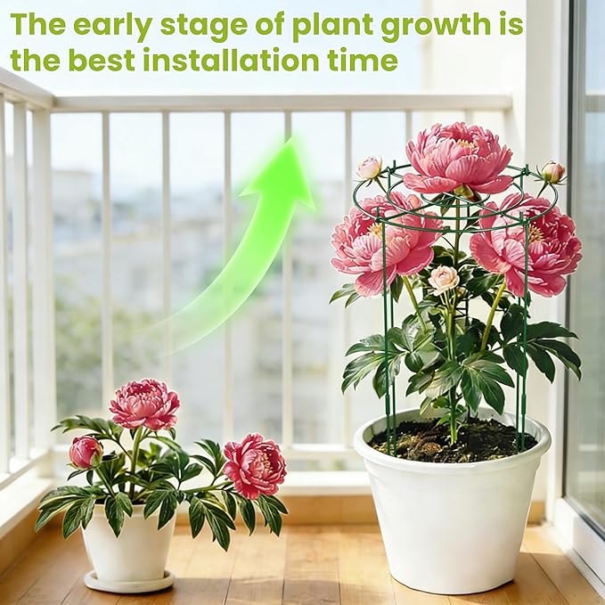 6 Pack Peony Cages and Supports, 11.8" x 24" Tall Peonies Support Cage, Heavy Duty Metal Peony Stakes and Supports for Rose Hydrangea Flower Plant