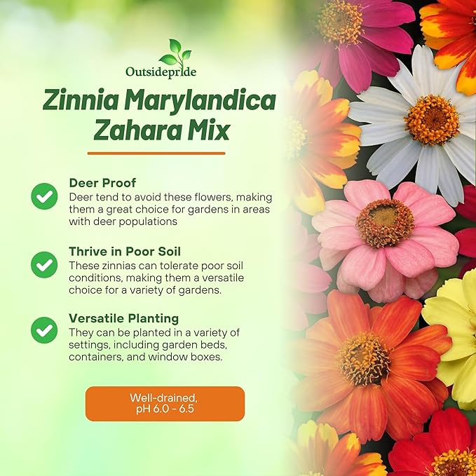 Outsidepride Zahara Mix Zinnia Seeds - 100 Pcs Annual, Heat & Drought Tolerant Flower Seeds for Planting w/Vibrant Blooms for Pollinator Gardens & Floral Arrangements