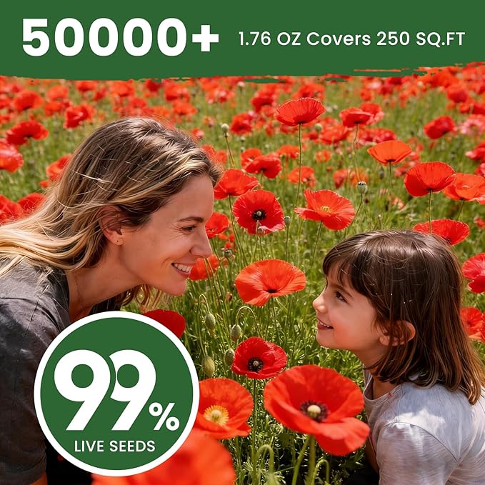 California Poppy Seeds for Planting, Red Poppy Flower Seeds, Bulk 50,000+ Seeds (1.76 oz), Easy to Grow, California State Flower for Garden
