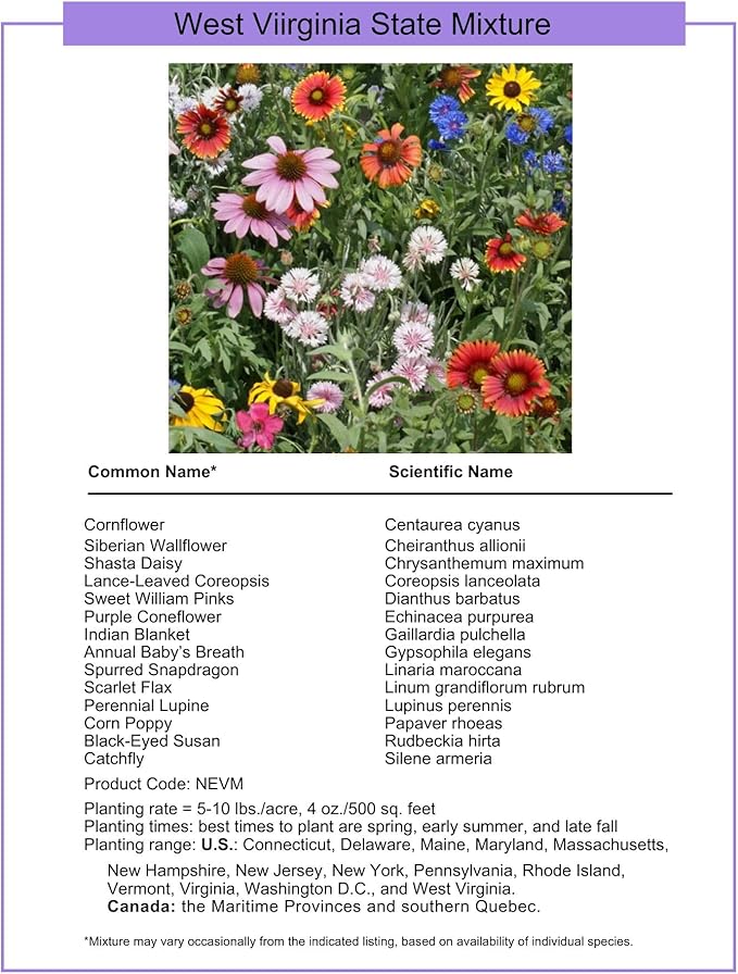 West Virginia Bulk Perennial Wildflower Seed Mix 1lb Covers 2,000sq-ft - Attract Pollinators, Multi-Color Blooms - Northeast US Species Plant in Spring/Fall - Earth-Friendly Packaging (1/4 Pound)