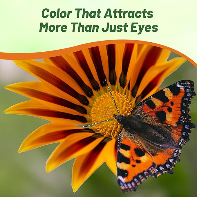 Outsidepride Mixed Gazania Seeds for Planting – 1000 Pcs Perennial, Low-Maintenance, Drought-Tolerant Ground Cover Seeds for Vibrant Summer & Fall Flowers, Ideal for Outdoor Gardens