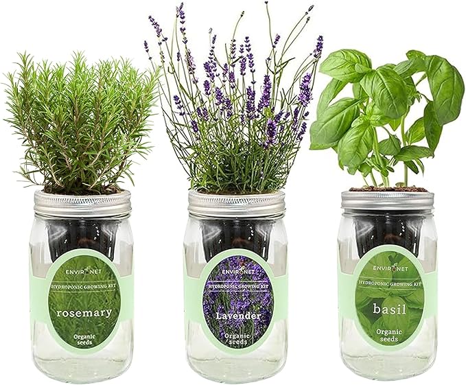 Hydroponic Herb Growing Kit Set, Self-Watering Mason Jar Herb Garden Starter Kit Indoor, New Christmas Gift for Mom (Lavender, Rosemary & Basil)