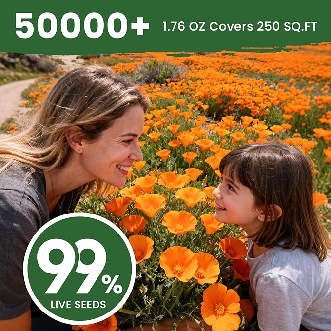 Orange California Poppy Seeds for Planting - Bulk 1.76 Ounce Packet - Over 50,000 Native Seeds - California State Flower