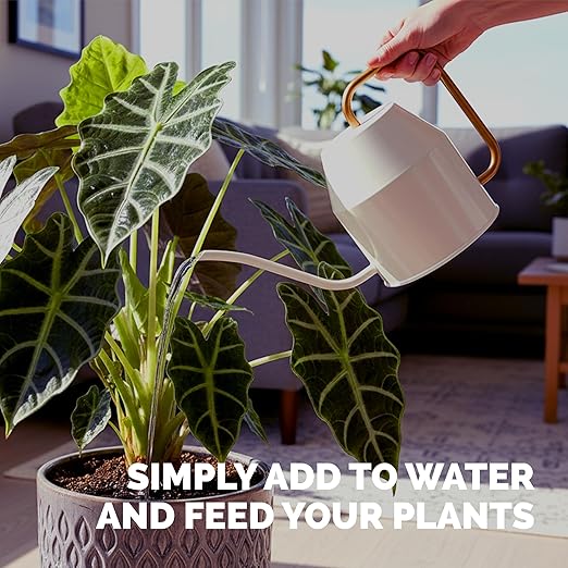 Alocasia Fertilizer – Liquid Plant Food for Bigger Leaves, Stronger Roots & Healthy Tropical Growth, 32 oz