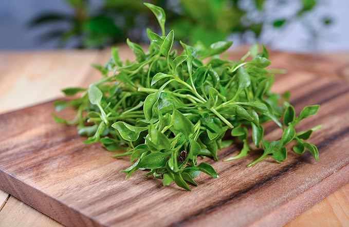 TKE Farms & Gardens - Watercress Seeds for Planting, 1500+ Non-GMO Heirloom Seeds, Grow a Nutrient-Rich Superfood, Easy for Indoor & Outdoor Gardens, Includes Planting Instructions, Qty 1