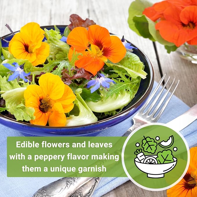 Sow Right Seeds - Dwarf Alaska Mix Nasturtium Seeds for Planting - Edible Flower - Non-GMO Heirloom Packet with Instructions to Plant in Your Garden - Warm Colored Blooms and Variegated Leaves (2)