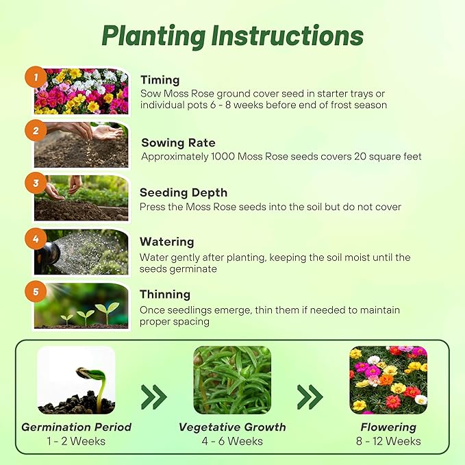 Outsidepride Mixed Moss Rose Seeds - 5000 Pcs Annual, Drought & Heat Tolerant, Pollinator Friendly Ground Cover Seeds for Planting w/Vibrant Blooms & Succulent Foliage, Ideal for Xeriscaping
