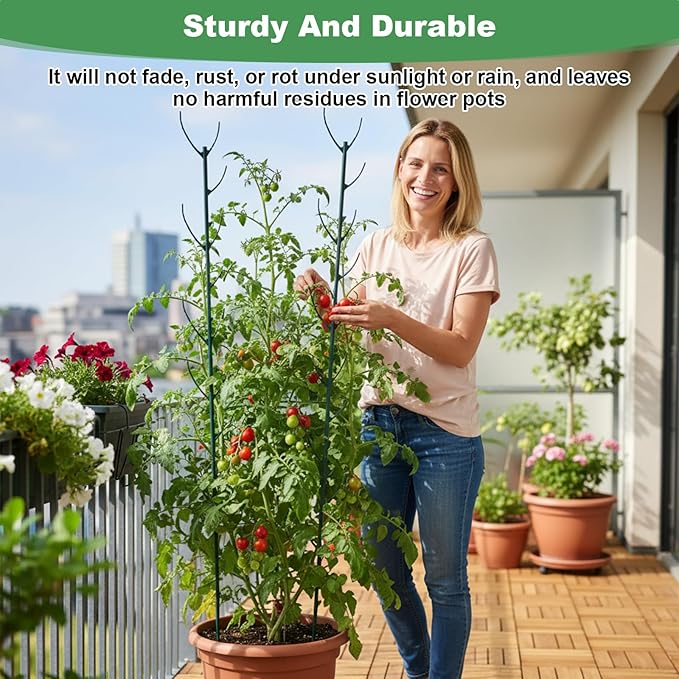 6 Pack Stackable Plant Support Stakes, Plant Stem Support Sticks Structures Pole with Half Round Supporting Rings for Monstera Trellis Indoor Outdoor Garden Accessories