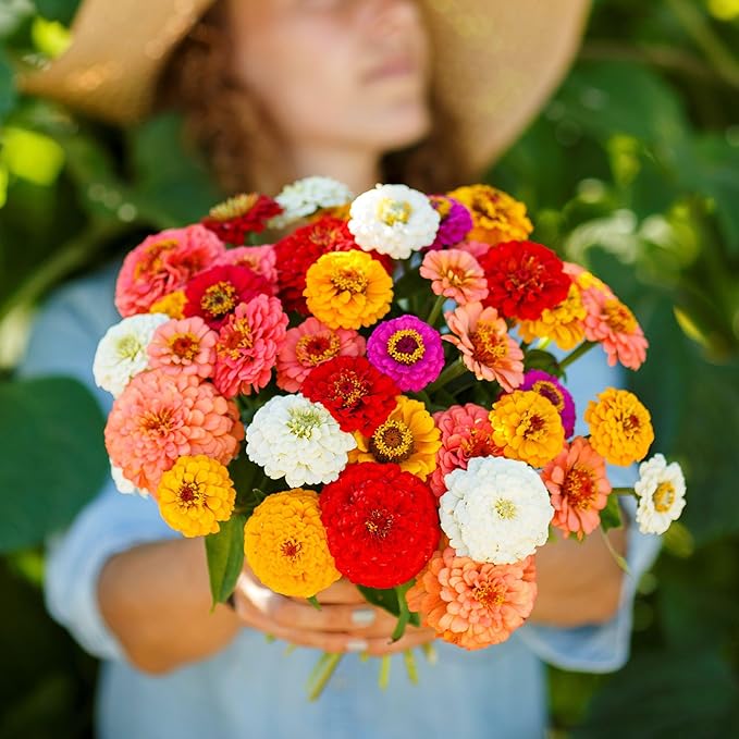 Eden Brothers Zinnia Seeds - Pumila/Cut & Come Again Mix, Non-GMO Seeds for Planting, 1 oz | Low-Maintenance Flower Seeds, Plant During Spring, Zones 3, 4, 5, 6, 7, 8, 9, 10