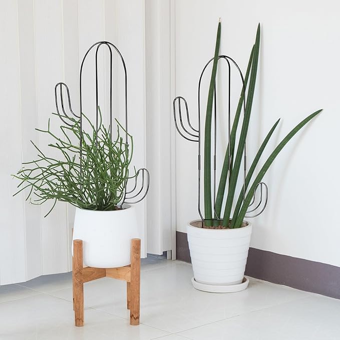Plant Trellis for Climbing Plants Indoor, Heay Duty Cactus Trellis for Potted Plants, Pothos Hoya Monstera Metal Houseplant Climbing Support for Garden Balcony, 2P