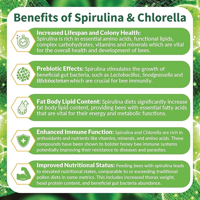 STRONG MICROBIALS BeeBites: SuperFood for Healthy Hives - Honey Bee Fondant with Spirulina and Chlorella - Probiotics Powered by Algae - Best Food for Queen Immunity - 10 Bars (50g Each)