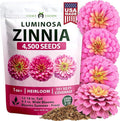 HOME GROWN Pink Zinnia Seeds – 4500 Luminosa Zinnias, Easy to Grow Annual Flower Seeds for Planting Outdoors for 2026, Fast Blooming, Heat Tolerant Herb Seed Garden Companion (Zinnia elegans)