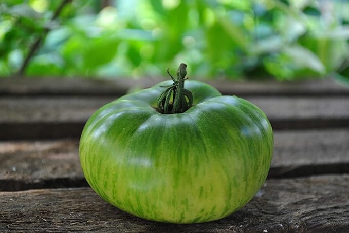 KIRA SEEDS - Seeds Green Zebra Tomato - Heirloom Vegetable - GMO Free