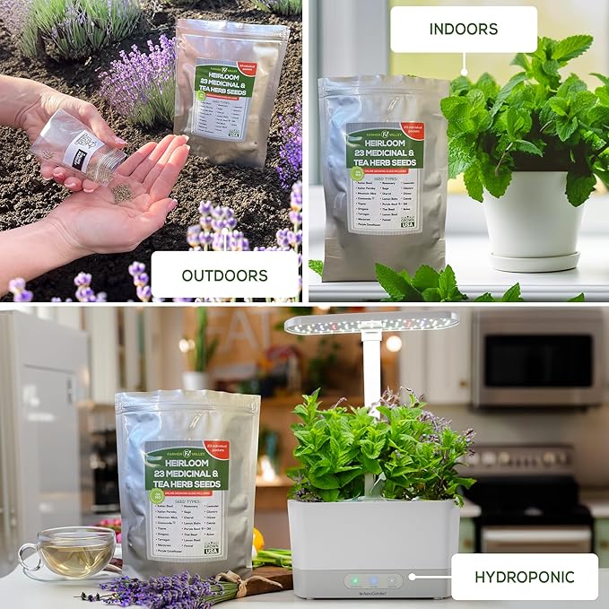 Most Popular Heirloom Non GMO Tea and Herb Seeds for Planting Indoor and Outdoor Garden