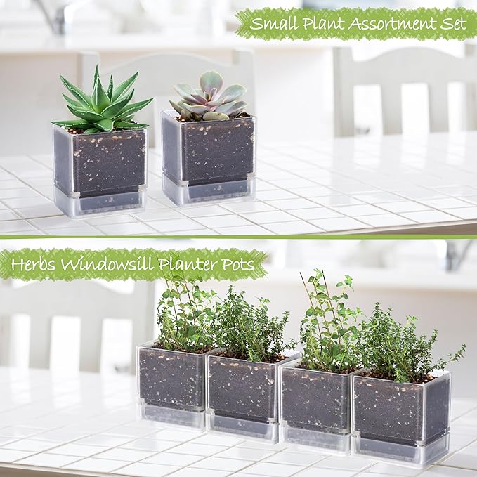 D'vine Dev 4 Inch Herb Planter Pot, Plastic Planter with Drainage Holes and Saucer, Modern Decorative Gardening Pot for Indoor Plants, Flowers, Herbs, Succulents, Clear, Set of 4, 76-Y-D-4