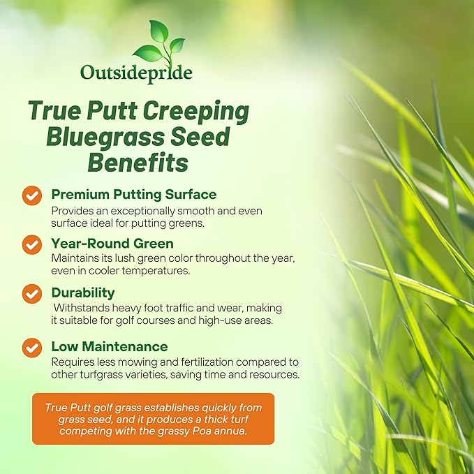 Outsidepride True Putt Perennial Creeping Bluegrass Seed - 1 Lb. Shade-Tolerant Bluegrass for Golf Courses & Home Putting Greens - Ideal for Dense, Fine-Textured Lush Turf in Low-Light Areas