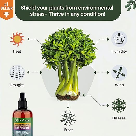 𝐏𝐑𝐄𝐌𝐈𝐔𝐌 Liquid Silica Plant Supplement - 8oz (250mL) - Broccoli Plants Liquid Silica Boost Fertilizer - Stronger Stems & Healthy Leaves for Indoor & Outdoor Broccoli Plants (Makes 45 Gallons)