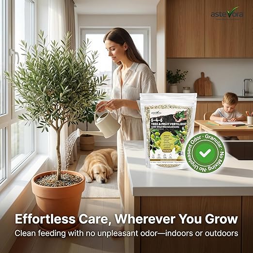 Olive Tree Fertilizer – Fruit Tree Fertilizer for Olive Tree, Citrus, Lemon, Lime, Fig, Avocado, Mango, Apple & Pomegranate – for Potted & Outdoor Trees (8 oz - 1/2 lbs.)