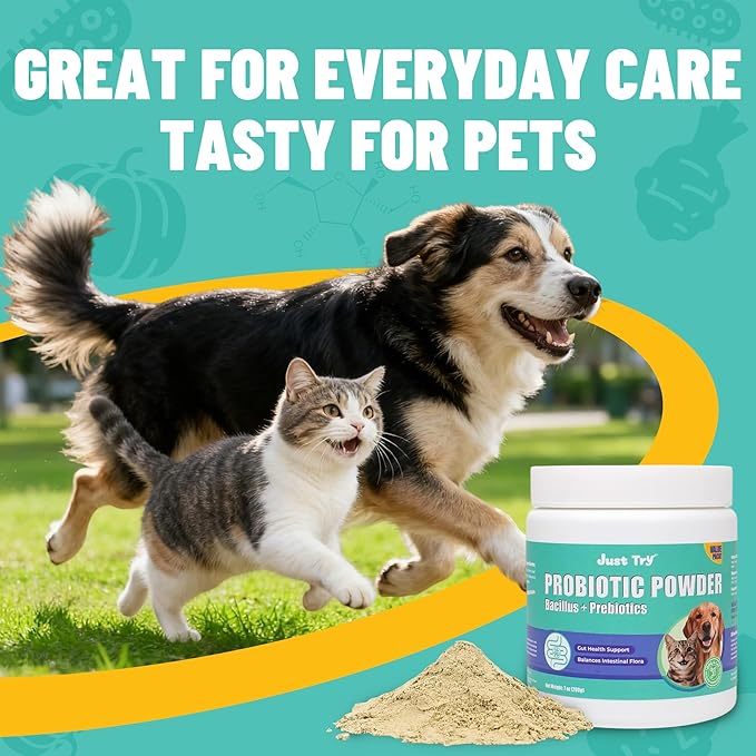 Just Try 7oz Probiotic Powder Probiotics for Dogs & Cat Probiotic - Gut Health for Dogs & Cat Constipation Relief Chicken Flavored - Dog Supplements Cat Supplies 200g