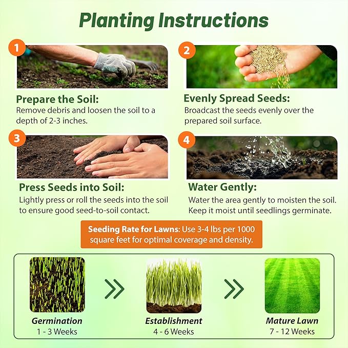 Outsidepride Xeriscape Native Prairie Grass Seed Mix – 1 lb. Perennial, Warm-Season, Cold & Drought-Tolerant, Fine Leaved, Dense Turf Grass Seeds for Lawn, Ground Cover & Arid Xeriscape Landscaping