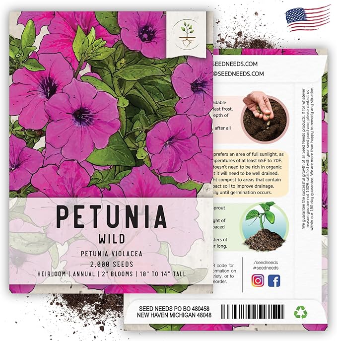 Seed Needs, Wild Petunia Seeds - 2,000 Heirloom Seeds for Planting Petunia violacea - Annual Flowers, Perfect for Beds, Borders, Pots & Containers (2 Packs)