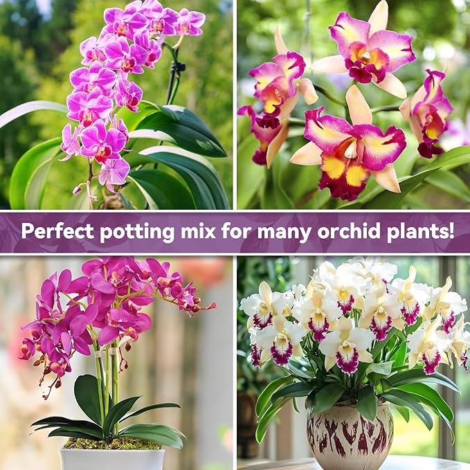 Riare 4QT Orchid Potting Mix for Repotting- Orchid Repotting Kit Include Moss, Pine Bark, Perlite, Coco Peat- Premium Orchid Soil Medium for Indoor Potted Plants Root Ventilation & Expanding