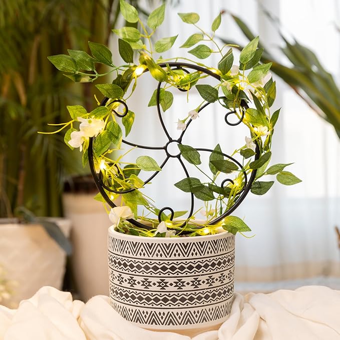 2 Pcs 14in Indoor Metal Garden Circle Plant Trellis for Houseplant Climbing Pot Plants, Black (Style A)