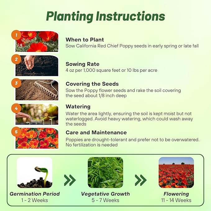 Outsidepride Red Chief California Poppy Seeds for Planting - 5000 Pcs Annual, Drought-Tolerant & Easy to Grow Wildflower Seeds with Vibrant Blooms for Landscaping, & Pollinator Garden