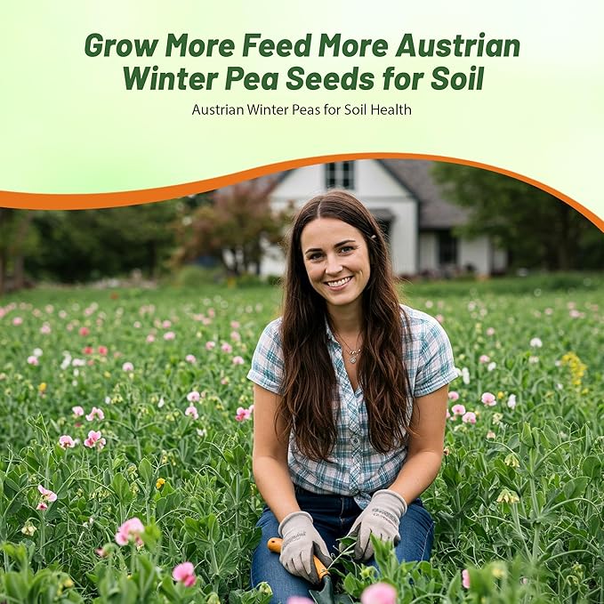 Outsidepride Austrian Winter Peas Seeds for Planting – 10 lbs Bag (Cool-Season Cover Crop, High-Protein Deer Food Plot Seed) Field Peas, Cover Crop Seeds, Spring Mix for Soil Health & Forage