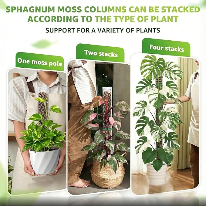 Sisher 2 Pack 16 Inch Plastic Moss Poles for Climbing Plants D Shaped Moss Pole Work with Sphagnum Moss Sticks for Indoor Plants, Moss Pole Monstera Plant Support,with Garden Ties
