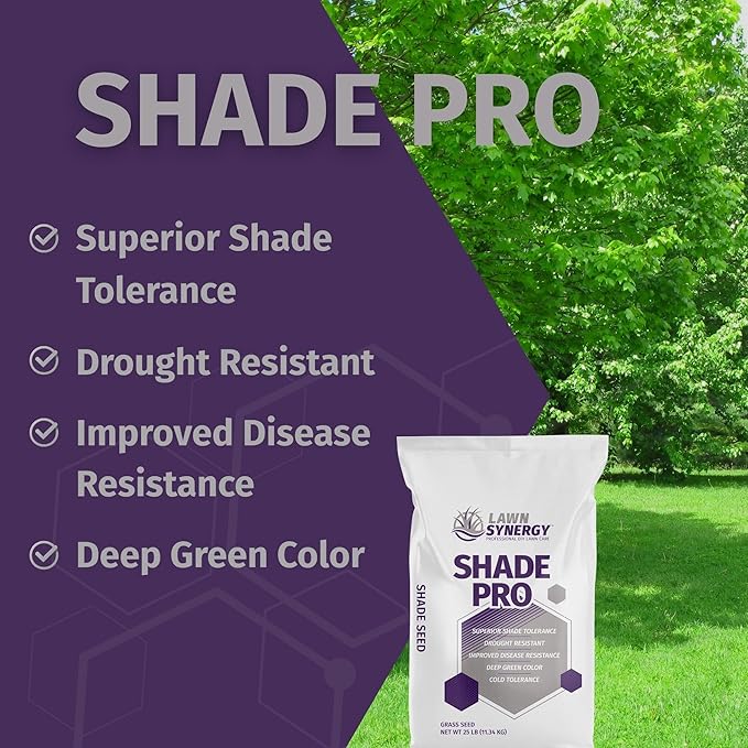 Shade Pro Grass Seed — Fine Fescue & Ryegrass Blend for Shaded Lawns — Thrives in Low-Light Areas — Dark Green, Dense Turf — 10 lb / 25 lb / 50 lb (10 lbs)