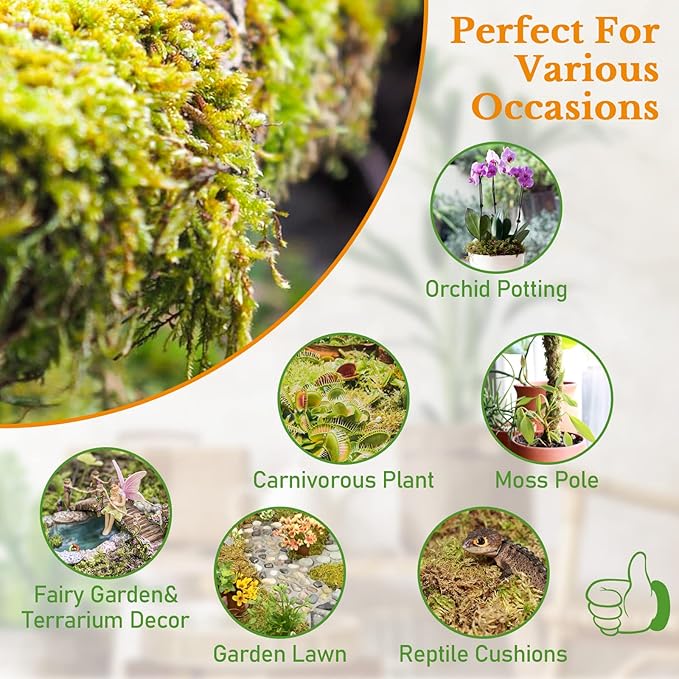 Riare 10 OZ Premium Sphagnum Moss- Natural Long Fibered Sphagnum Peat Moss Plants Moss Dried, Carnivorous Plants Moss Orchid Potting Mix for Orchids, Carnivorous Plants, Succulent (12QT)