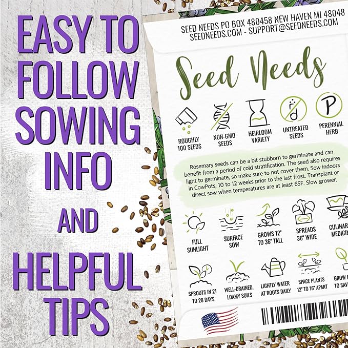 Seed Needs Rosemary Seeds for Planting - Non-GMO Heirloom & Untreated Perennial Herbs to Plant a Medicinal & Culinary Kitchen Garden Indoors or Outdoors (1 Pack)
