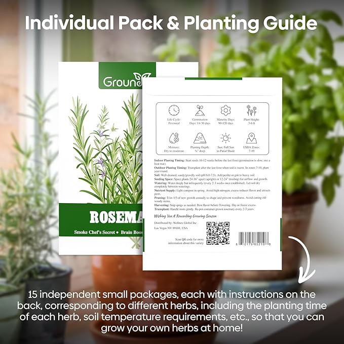 Groundio 15 Herb Seeds Variety Pack | 5,500+ Non-GMO Heirloom Seeds for Planting Indoor & Outdoor | Culinary Herb Collection | Grow Your Own Herb Garden | Gardening Gift