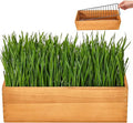 MEESS RCLH Wooden Cat Grass Planter,Cat Grass Kit for Indoor Cats with Anti-Digging Grid, Potting Soil Disks,Watering Bottle and Removable Plastic Liner,Wheat Grass Growing Pot