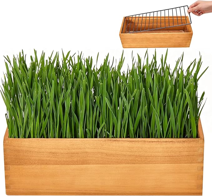 MEESS RCLH Wooden Cat Grass Planter,Cat Grass Kit for Indoor Cats with Anti-Digging Grid, Potting Soil Disks,Watering Bottle and Removable Plastic Liner,Wheat Grass Growing Pot